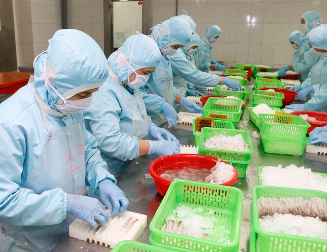 Exportations nationales de crevettes une forte croissance attendue cette année