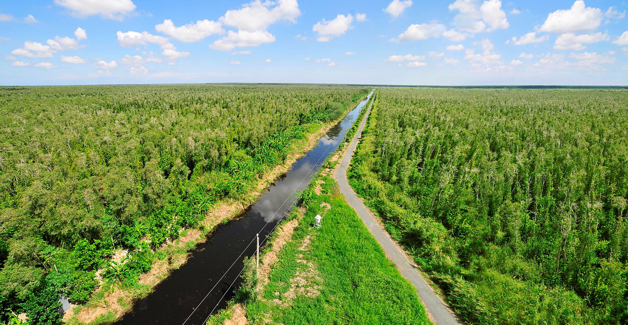 Gestion durable des tourbières du parc National d U Minh Ha