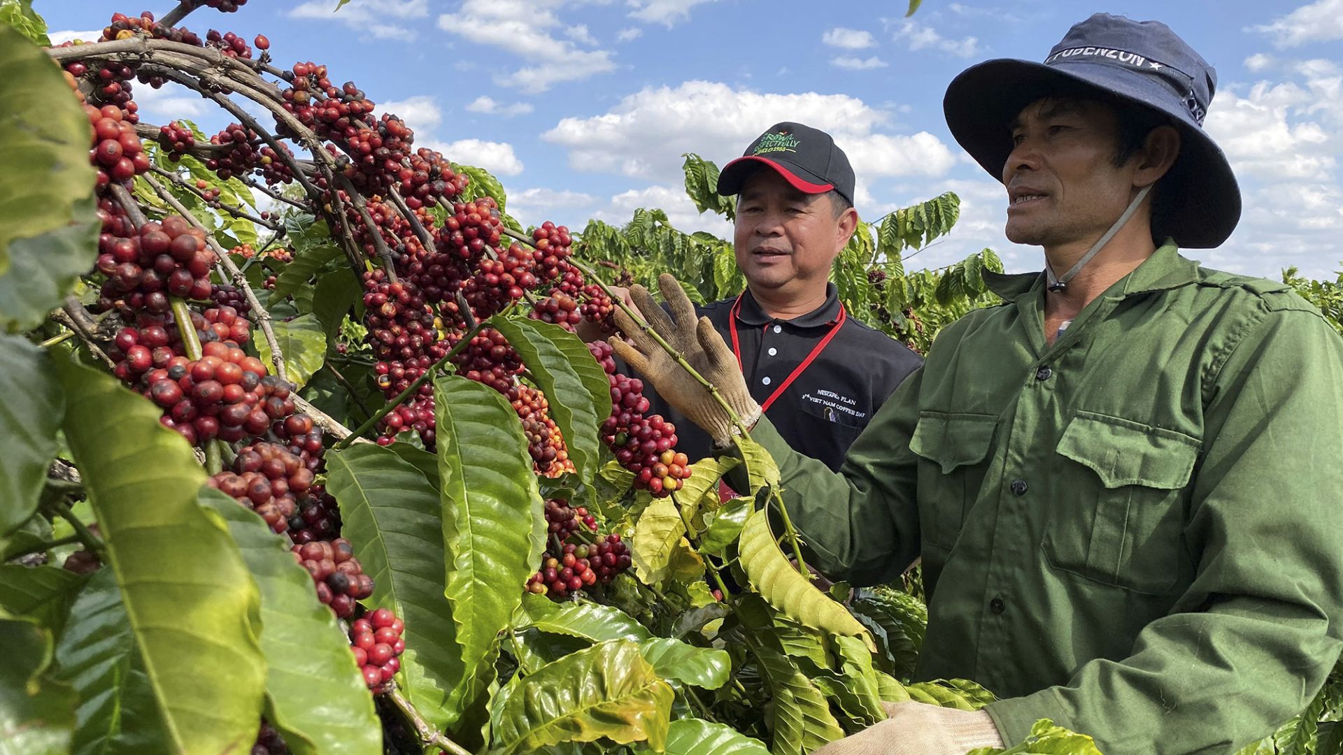 1er trimestre Le Vietnam affiche un excédent commercial avec l Allemagne de 1,2 milliard d’USD