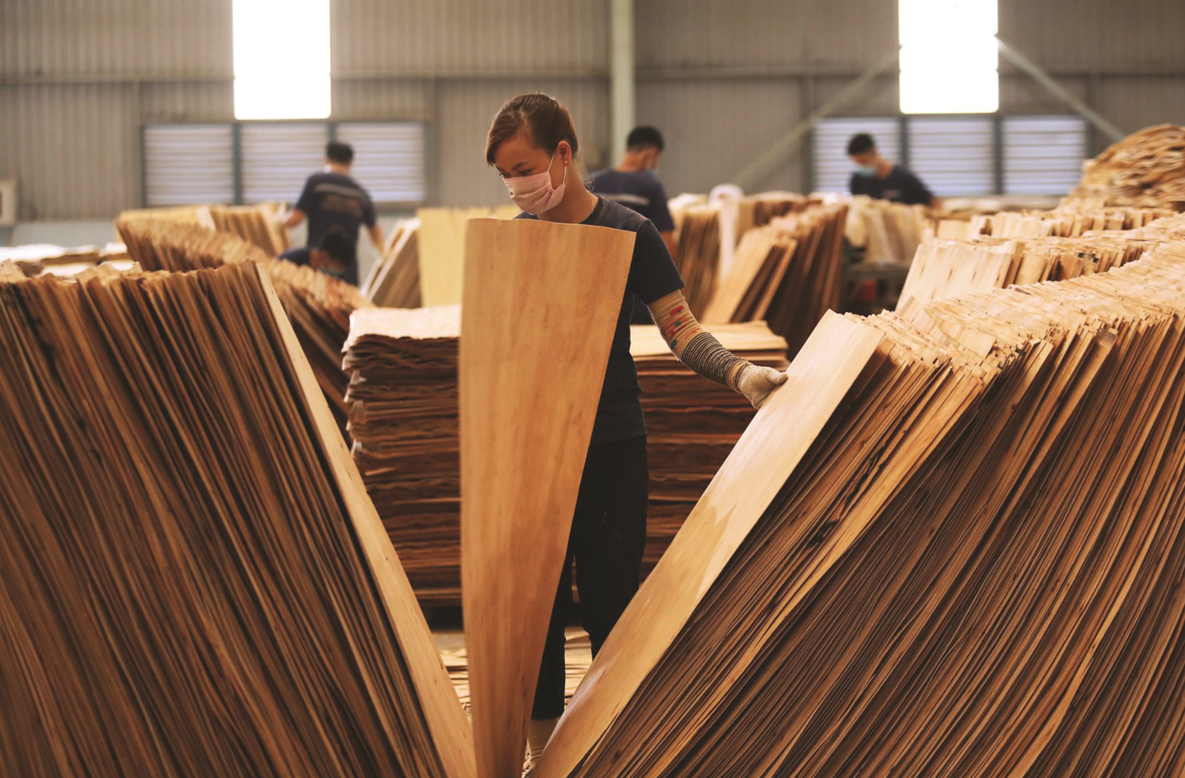 La filière bois nationale vise 8 de croissance de ses exportations ce premier semestre