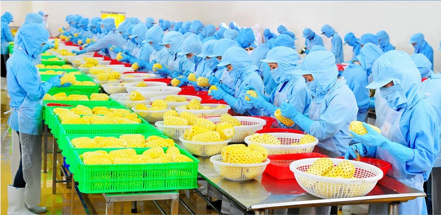 Chute des exportations nationales de fruits et légumes en raison de la politique chinoise du Zéro Covid