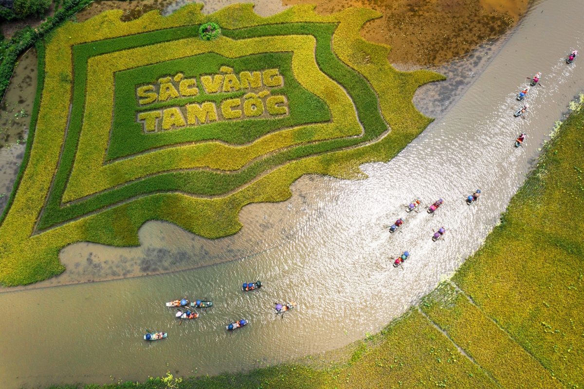 Tam Coc à la saison du riz mûr