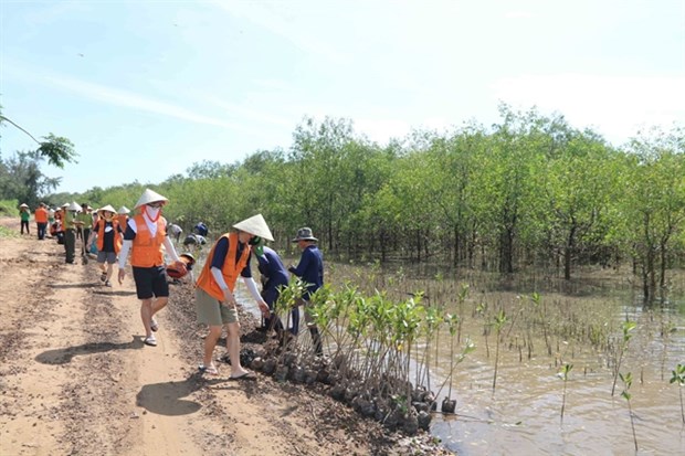 Le gouvernement et ses partenaires discutent du reboisement des mangroves dans le delta du Mékong