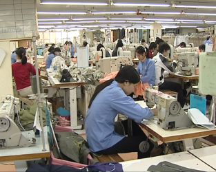 2015年平阳省引进外资额达年计划的182