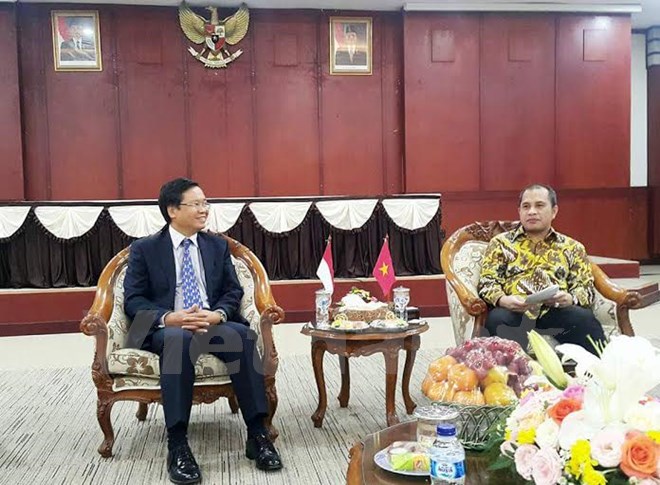 越南和印尼促进农村发展合作