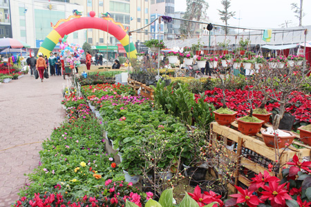 2016年广宁下龙迎春花展即将开展