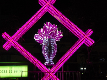 胡志明市春节花市于2月1日开市