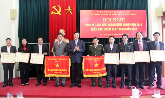 广宁省农业与农村发展厅展开2016年工作任务