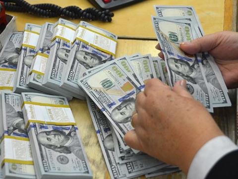 2015年越南侨汇收入达逾120亿美元