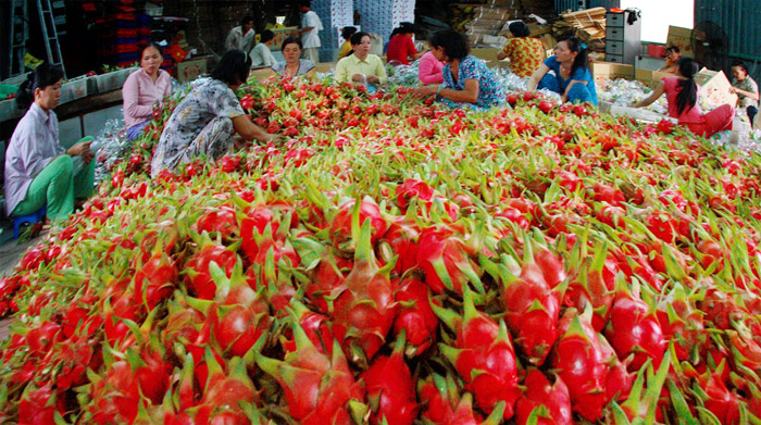 越南对中国的农产品出口额飙升