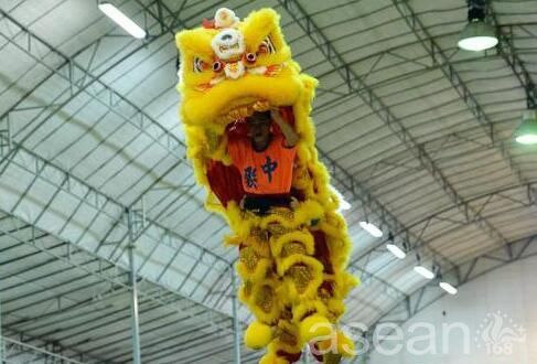 越南参加在新加坡举行的第九届狮王争霸赛