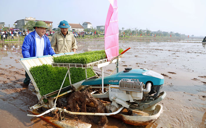 河内市领导人下田插秧