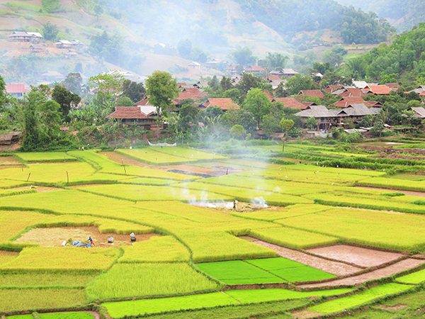 奠边省集中吸引和有效利用各方面投资资源