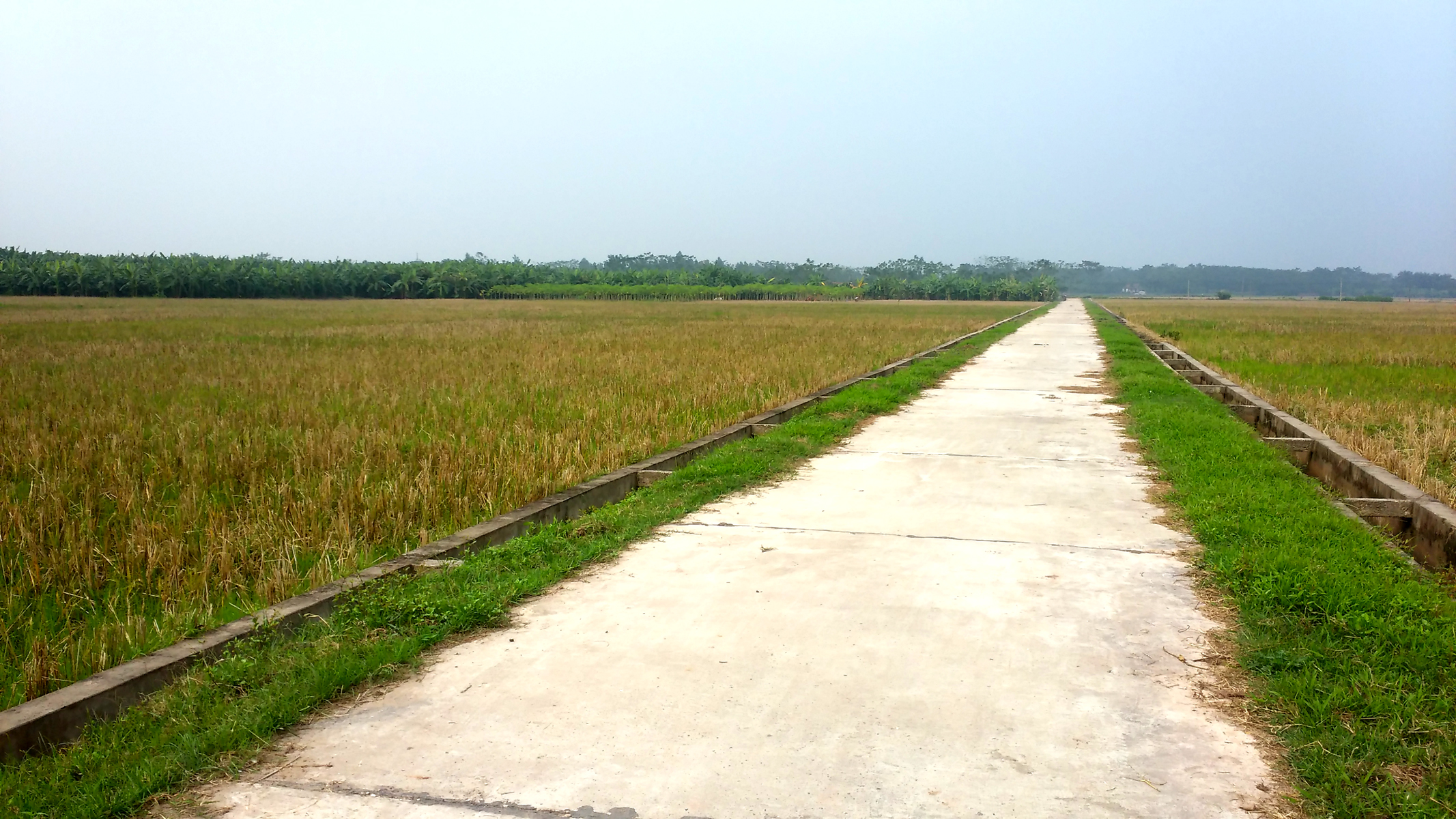 胜利落实越共十二大决议：2016年茶荣省力争使8个乡达到新农村标准