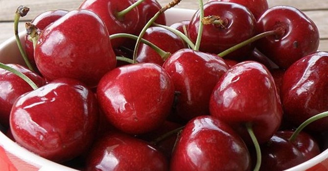 澳大利亚食品出口商把注意力投向越南市场