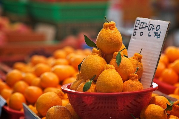 韩国Kotra：越南是韩国战略性出口市场