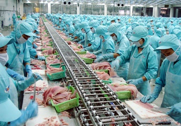 越南45个茶鱼生产加工企业获批进军美国市场