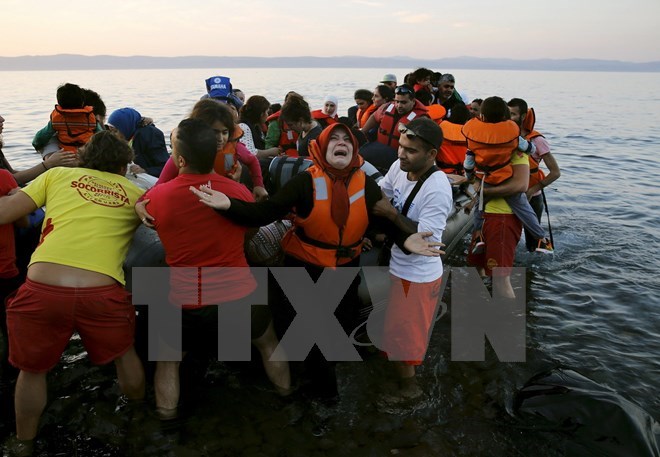 联合国高官呼吁欧盟协调解决难民危机