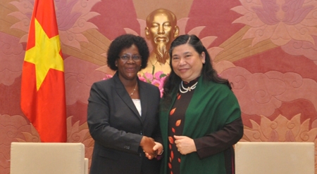 国会副主席丛氏放会见莫桑比克议会国际关系委员会主任伊内斯•马丁内斯