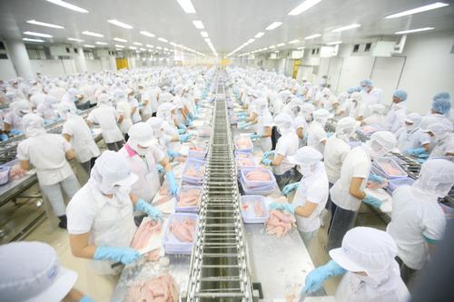 今年第一季度越南水产品出口额同比增长9