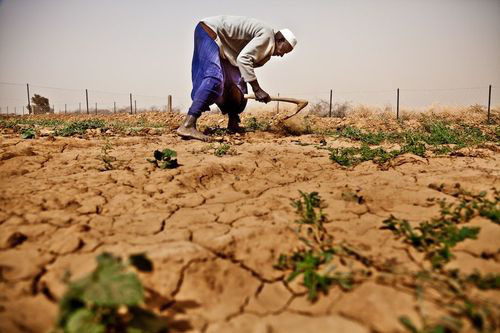 粮农组织与诺奖得主联手应对粮食安全与和平问题