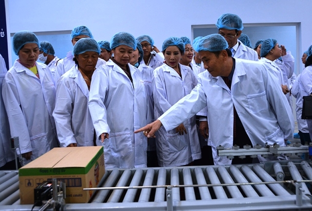 越南乳制品股份公司在柬埔寨投建的首家工厂正式落成