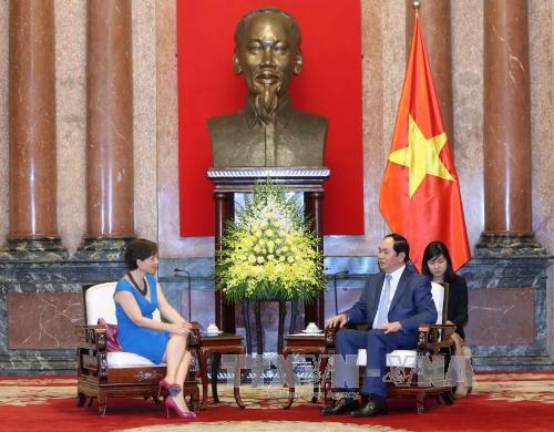 国家主席陈大光：需大力推广越意合作模式