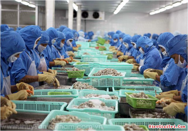 越南虾类对美出口活动呈良好增长态势