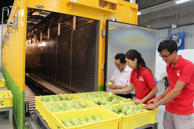 越南对美国、日本的水果出口量增长81