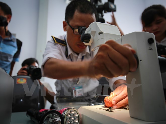 河内市对首批输澳荔枝进行辐照