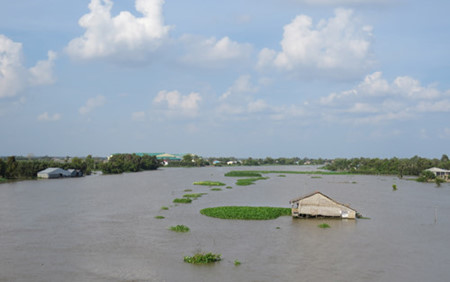 世界银行批准向越南拨款3 8亿多美元