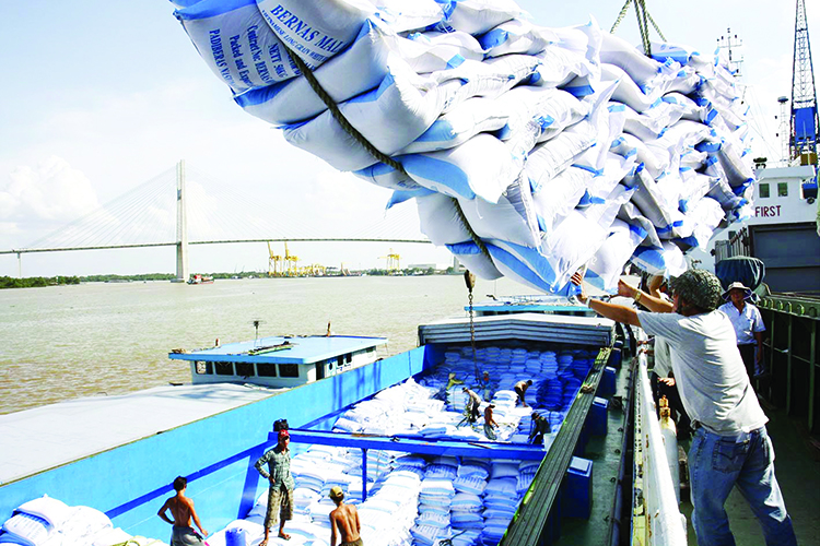 今年前几个月，越南大米出口活动继续取得良好增长