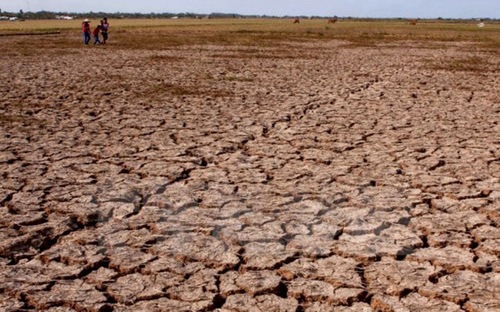 韩国向越南提供300万美元援助以克服旱灾后果