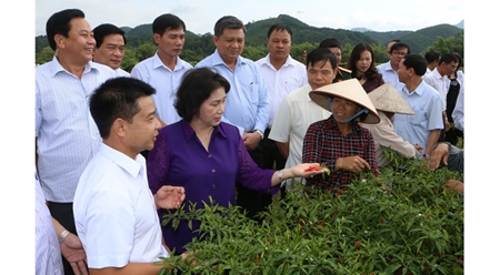 国会主席阮氏金银赴凉山省调研