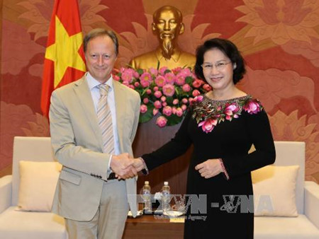 阮氏金银会见欧盟驻越代表团团长和欧盟各国驻越大使