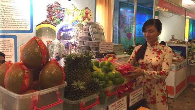 胡志明市-九龙江平原地区投资贸易及旅游促进会举行