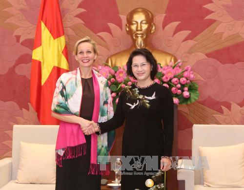 国会主席阮氏金银会见瑞典和丹麦驻越大使