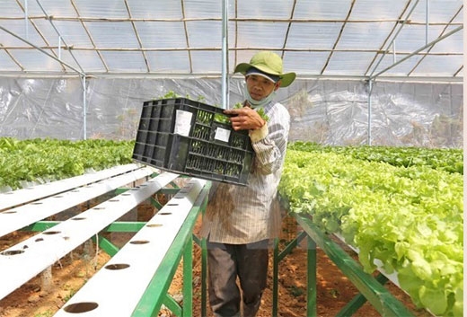 近40家日本农业企业代表团赴河南省寻找商机