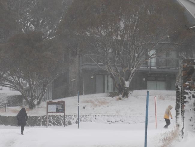 澳大利亚南部地区遭遇寒潮袭击