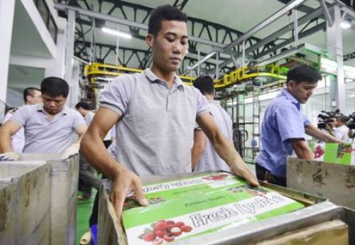 越南蔬果出口机会众多