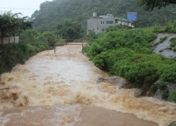 越南克服台风“电母”影响