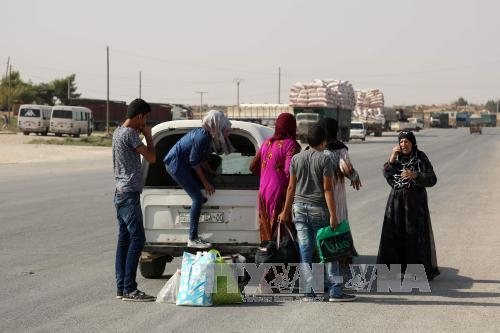 叙利亚政府军与库尔德武装达成停火