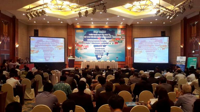 推动越南和中东与非洲关系发展会议举行