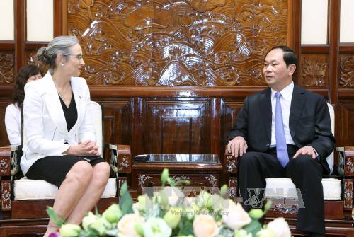 国家主席陈大光会见前来礼节性拜会的各国驻越大使