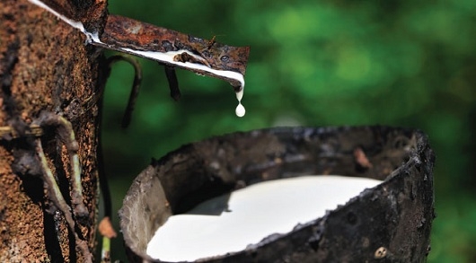 越南前九个月农林水产品出口额同比增长6