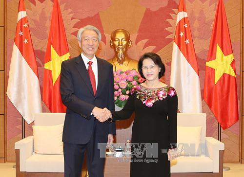 国会主席阮氏金银会见新加坡副总理张志贤