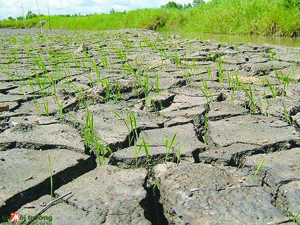 欧盟协助越南九龙江平原地区应对气候变化