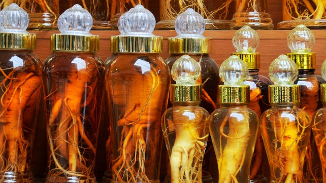 越南是东盟最大韩国人参进口国