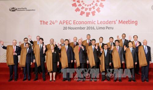 国家主席陈大光出席2016年APEC峰会第二场全体会议