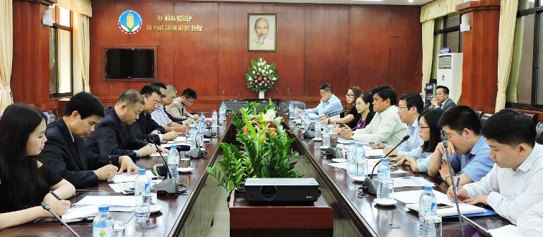 对出口中国的越南大米进行植物检疫